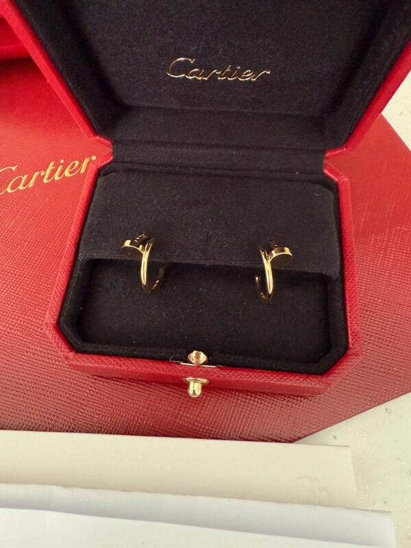 Cartier nausnice